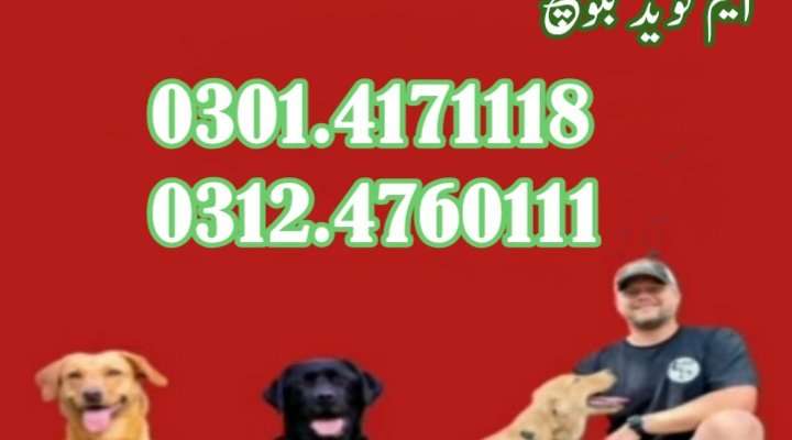 Store Banner